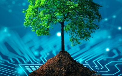 5 Reasons Why Your Business Can’t Afford to Ignore ESG Software