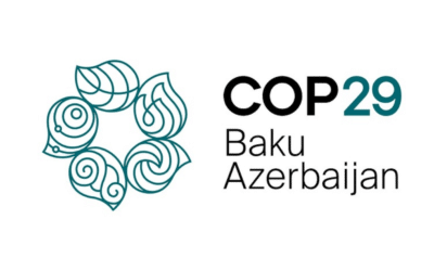 Key COP29 Takeaways for Sustainability Leaders