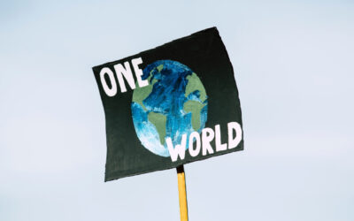 Breakthrough Agreement Reached at COP27 Amidst Pessimism