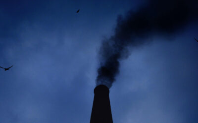Canada Mandates Emissions Disclosures for its Government Suppliers
