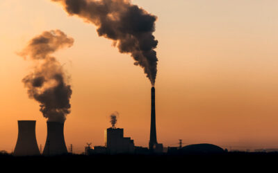 Canada’s New Government Supplier Requirements Are Another Step Towards Net Zero