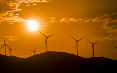 SBTi Growing in Prominence as Firms Chart Paths to Net Zero