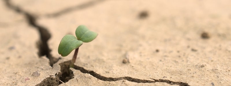 3 Climate Week 2024 Takeaways for SMEs