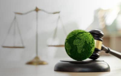 How the US SEC’s New Climate Disclosure Ruling Affects You