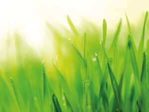 Enviroserv-01-300x225