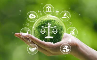 Global Sustainability Regulations Guide for 2025