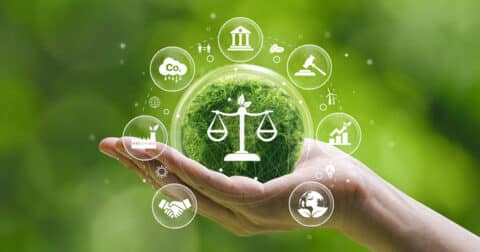 Global Sustainability Regulations Guide for 2025