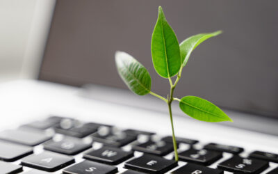 You’ve Produced Your First Sustainability Report. Now What?