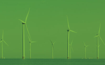 ESG: Why Public Disclosure Matters
