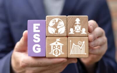 The Case for Adopting Established ESG Standards Over Creating Your Own Framework